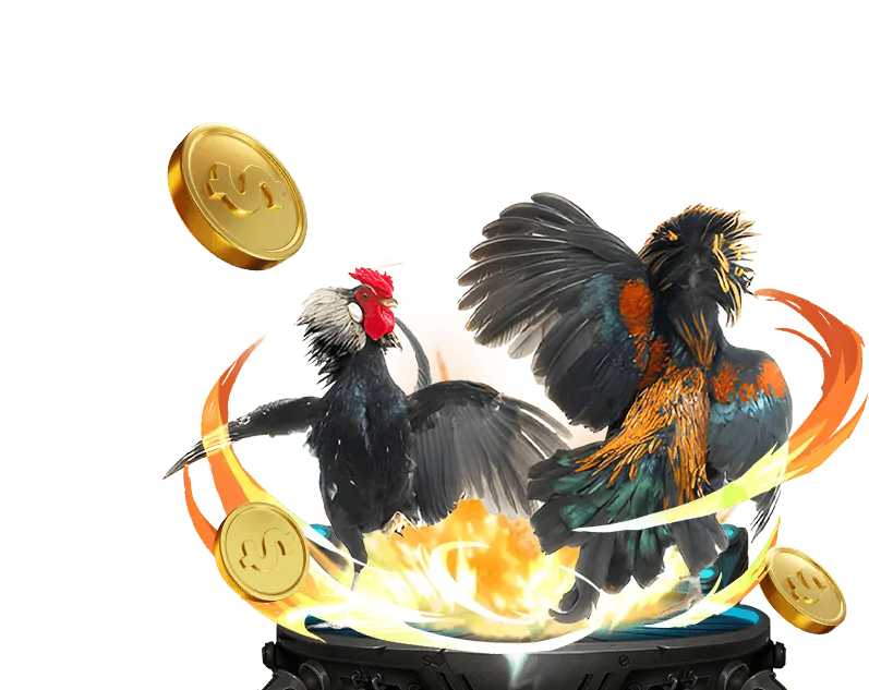 Từng bước đặt cược tại 789win01
